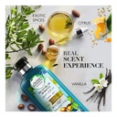 * Herbal Essences Argan Oil Morocco Shampoo, 400ml