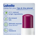 * LABELLO 24FIR MOIST BLACKBERRY BL 4.8G