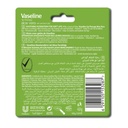 * Vaseline Lip Therapy Aloe Me 4.8GM