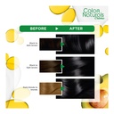 * Garnier Color Naturals 1, Black - OFFER (Twin pack 25% Off)