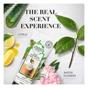 * Herbal Essences Aloe & Avocado Oil Replacment, 180ml