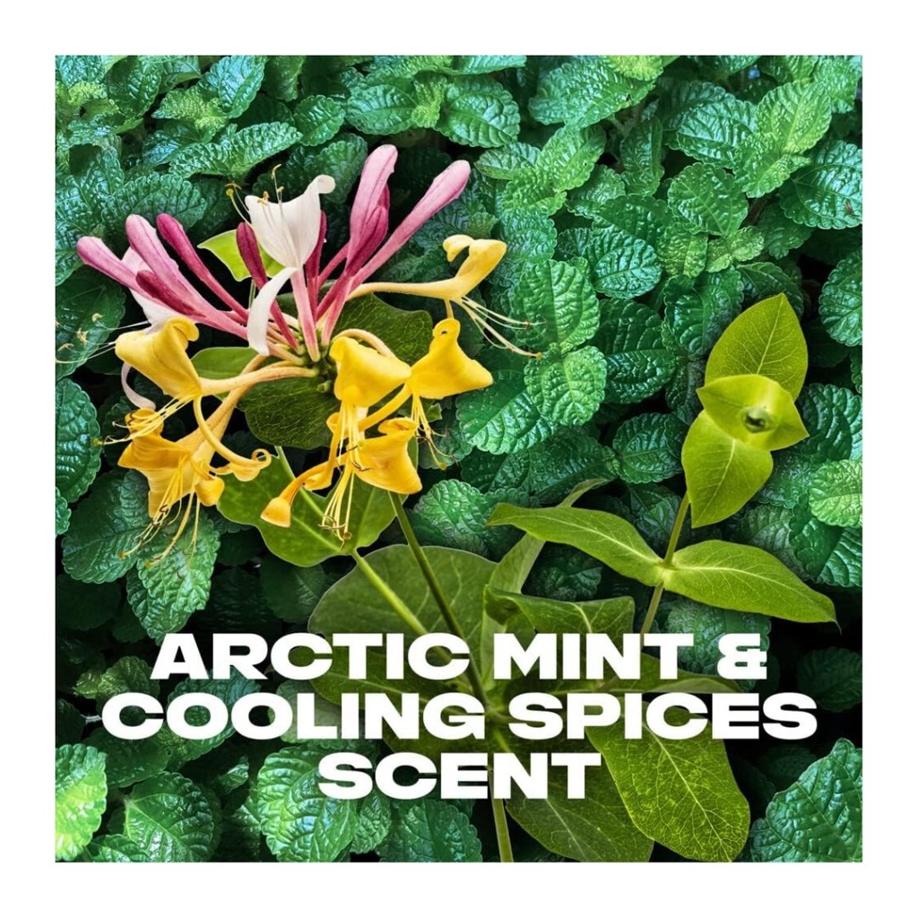 * Axe Deodorant Recharge Body Spray, 150ml