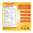 * MegaRix Multivitamins Adult Gummies 60's