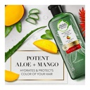 * Herbal Essences Aloe Mango Kit, 400ml - OFFER