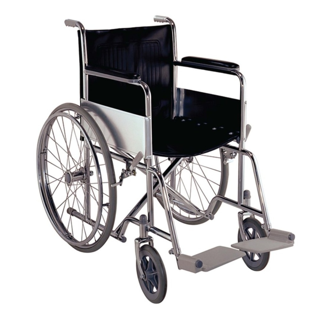 *Saponins Basic Wheel Chair