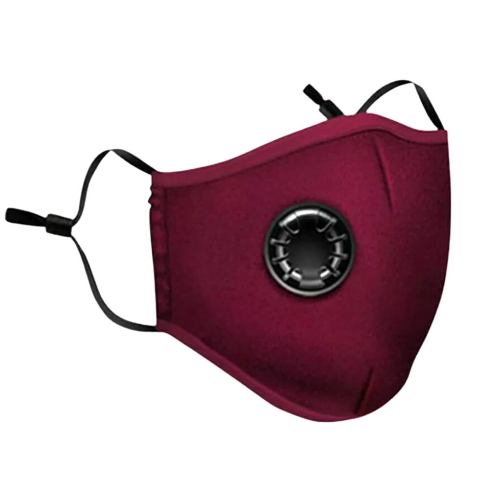 *N95 Mask