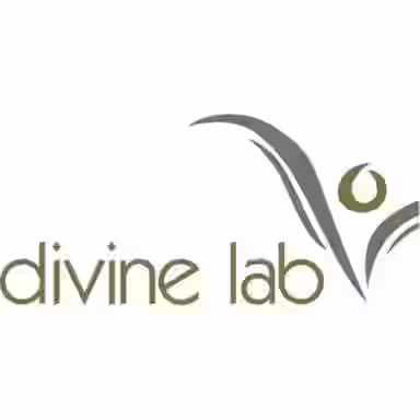 Brand: Divine Lab