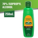 * GreenCross Isopropyl Alcohol 70% Solution, 250ml